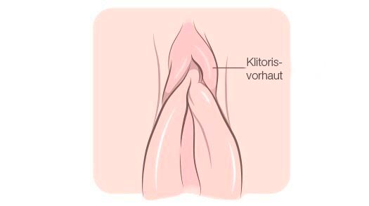 Klitorisvorhaut